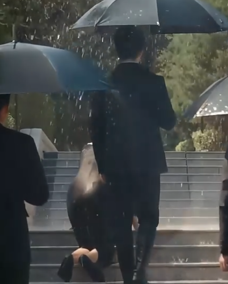 Bayangmu yang Hilang